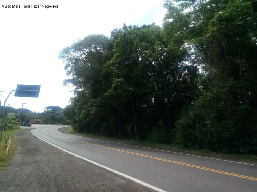 Terreno / Lote à venda, 859m2 em Nova Petropolis - RS - imagem 5 Foto 5 de Terreno / Lote à venda, 859m2 em Nova Petropolis - RS