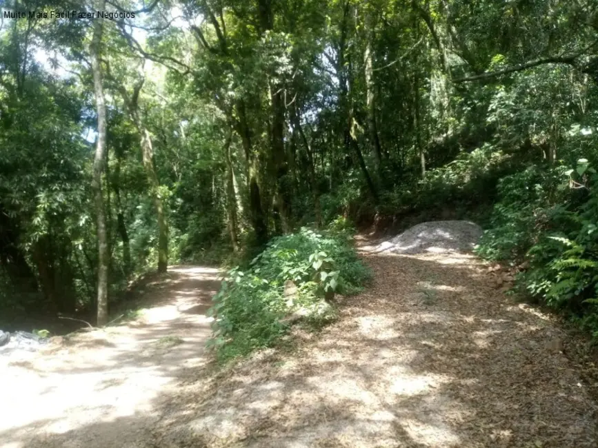 Sítio / Rancho com 1 quarto à venda, 40m2 em Nova Petropolis - RS - imagem 5 Foto 5 de Sítio / Rancho com 1 quarto à venda, 40m2 em Nova Petropolis - RS