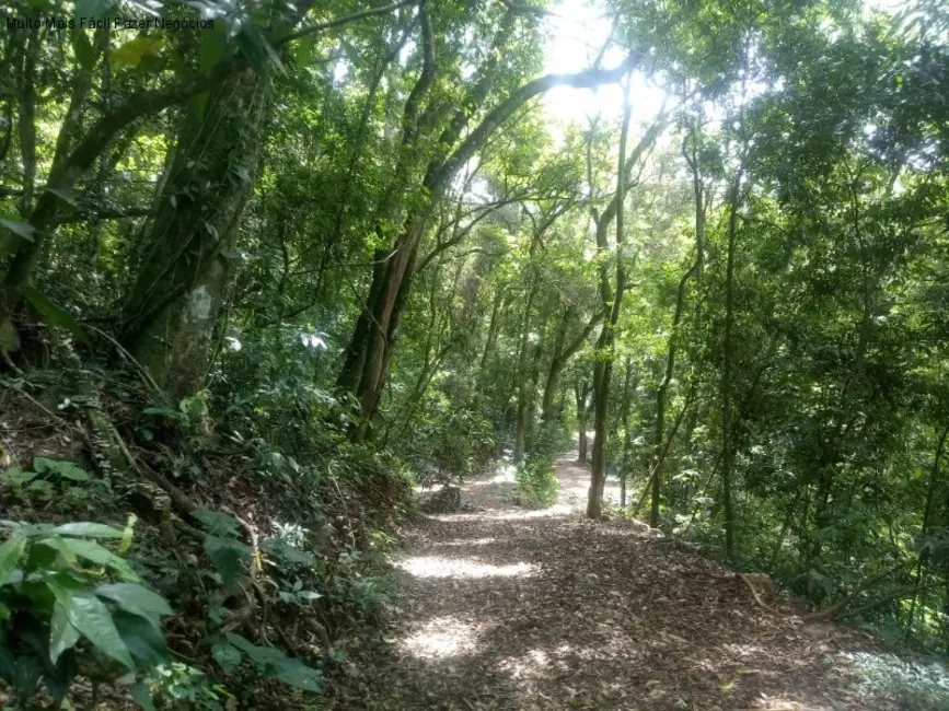 Sítio / Rancho com 1 quarto à venda, 40m2 em Nova Petropolis - RS - imagem 7 Foto 7 de Sítio / Rancho com 1 quarto à venda, 40m2 em Nova Petropolis - RS
