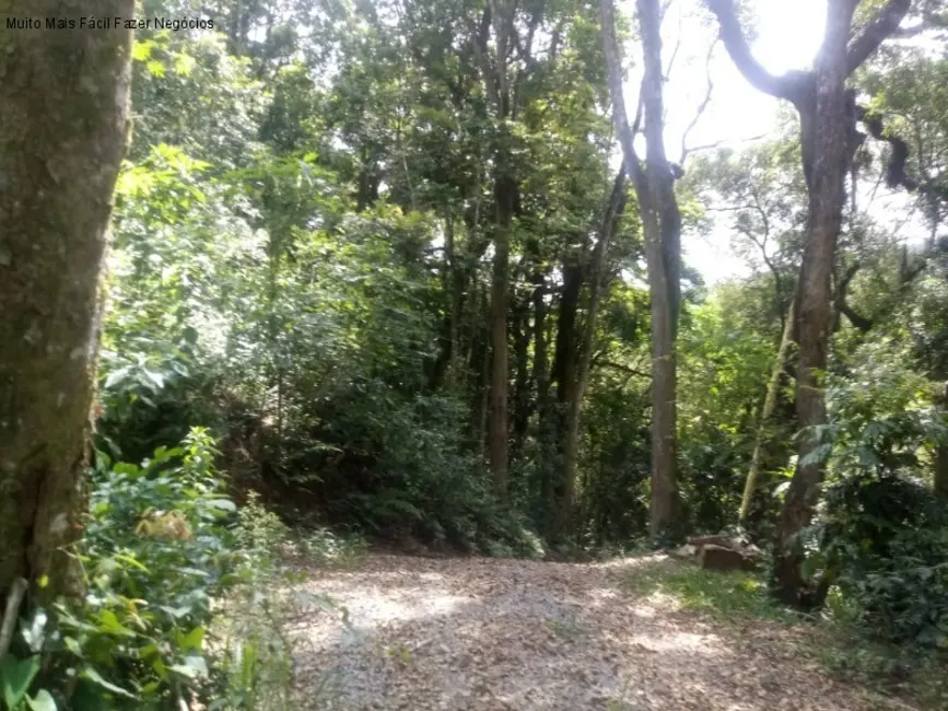 Sítio / Rancho com 1 quarto à venda, 40m2 em Nova Petropolis - RS - imagem 9 Foto 9 de Sítio / Rancho com 1 quarto à venda, 40m2 em Nova Petropolis - RS