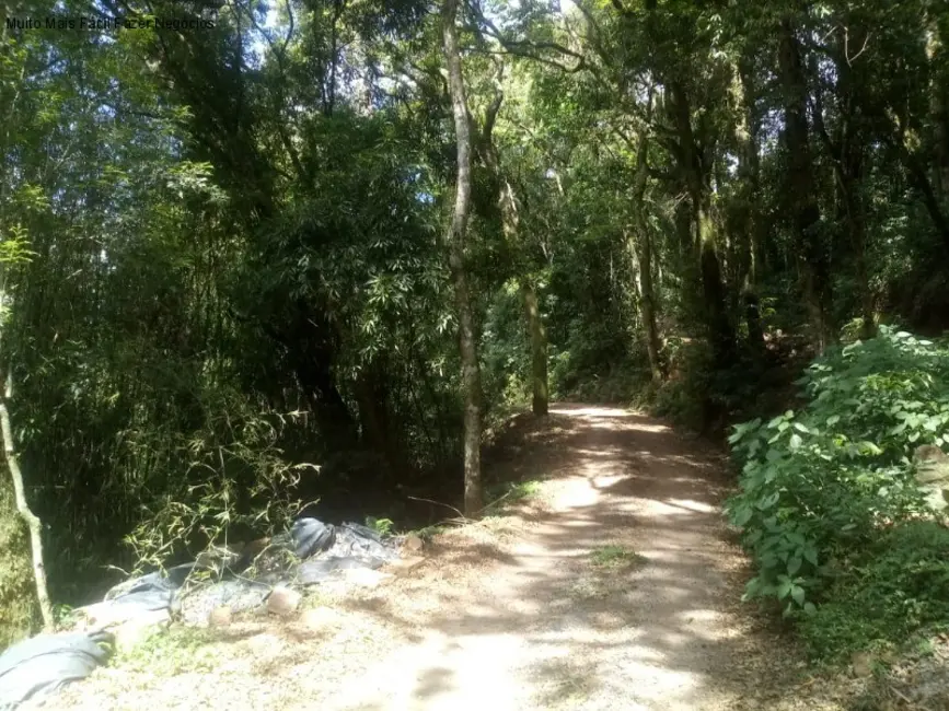 Sítio / Rancho com 1 quarto à venda, 40m2 em Nova Petropolis - RS - imagem 8 Foto 8 de Sítio / Rancho com 1 quarto à venda, 40m2 em Nova Petropolis - RS