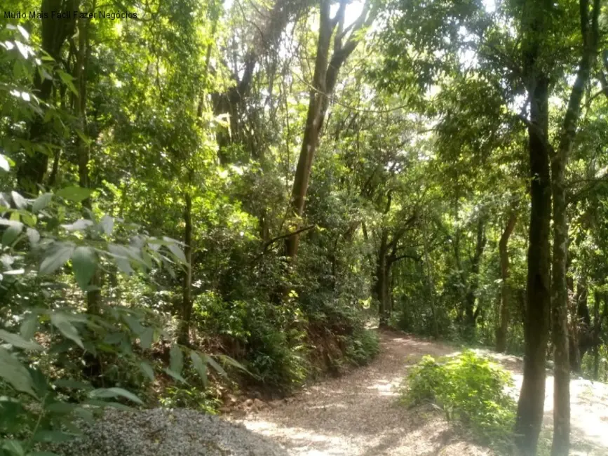 Sítio / Rancho com 1 quarto à venda, 40m2 em Nova Petropolis - RS - imagem 6 Foto 6 de Sítio / Rancho com 1 quarto à venda, 40m2 em Nova Petropolis - RS