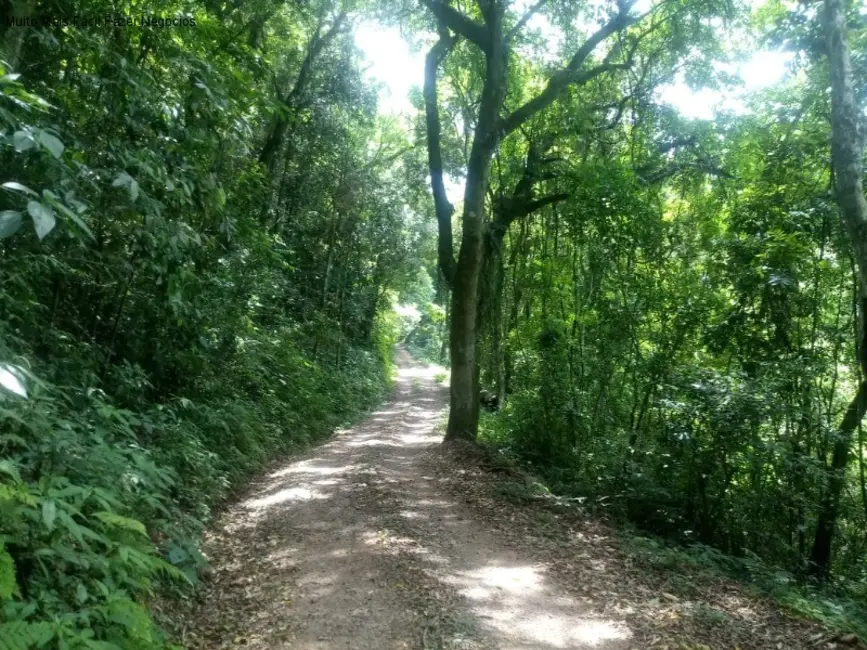 Sítio / Rancho com 1 quarto à venda, 40m2 em Nova Petropolis - RS - imagem 3 Foto 3 de Sítio / Rancho com 1 quarto à venda, 40m2 em Nova Petropolis - RS