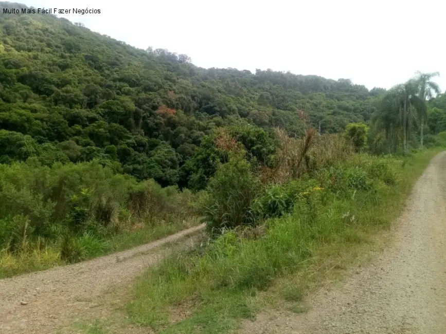 Sítio / Rancho com 1 quarto à venda, 40m2 em Nova Petropolis - RS - imagem 2 Foto 2 de Sítio / Rancho com 1 quarto à venda, 40m2 em Nova Petropolis - RS