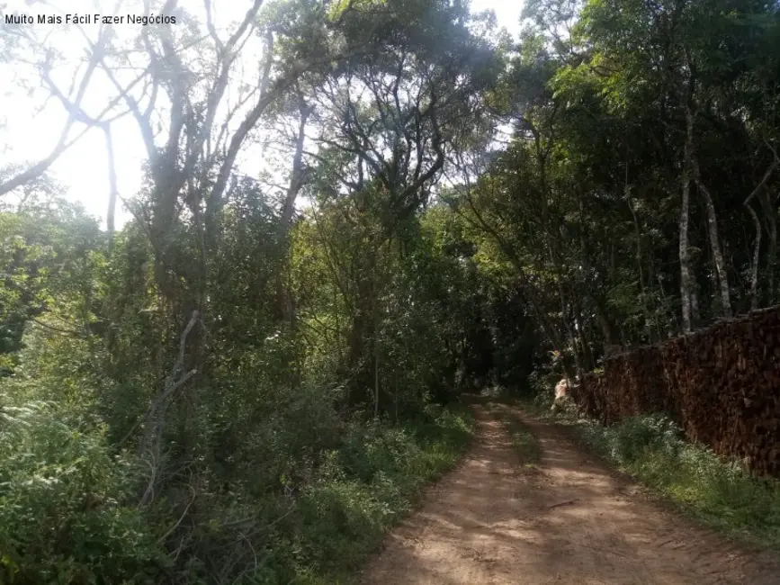 Terreno / Lote à venda em Nova Petropolis - RS - imagem 5 Foto 5 de Terreno / Lote à venda em Nova Petropolis - RS