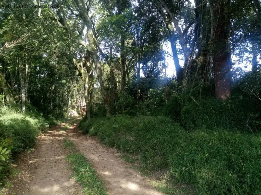 Foto 2 de Terreno / Lote à venda em Nova Petropolis - RS