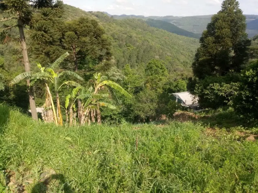 Terreno / Lote à venda, 551m2 em Centro, Nova Petropolis - RS - imagem 6 Foto 6 de Terreno / Lote à venda, 551m2 em Centro, Nova Petropolis - RS