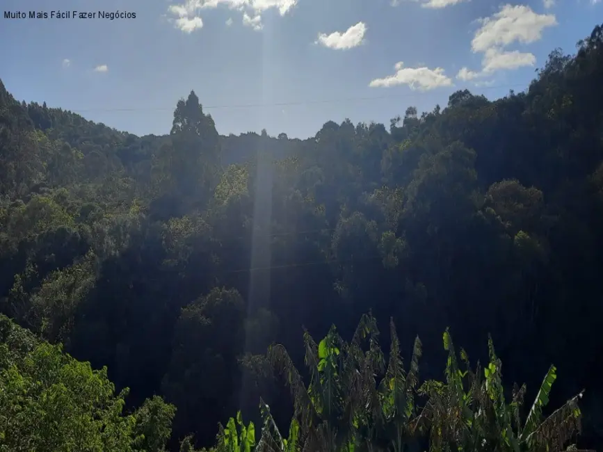 Foto 9 de Casa com 2 quartos à venda, 64m2 em Nova Petropolis - RS