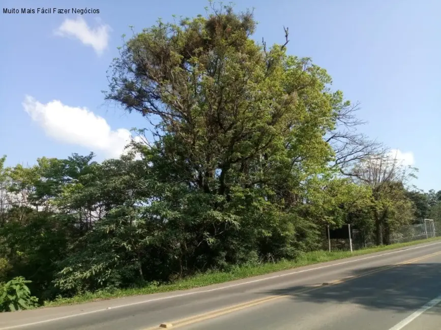 Terreno / Lote à venda, 1875m2 em Nova Petropolis - RS - imagem 2 Foto 2 de Terreno / Lote à venda, 1875m2 em Nova Petropolis - RS