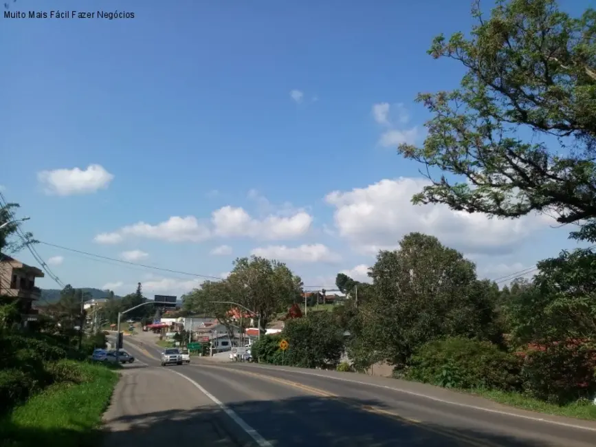 Terreno / Lote à venda, 1875m2 em Nova Petropolis - RS - imagem 4 Foto 4 de Terreno / Lote à venda, 1875m2 em Nova Petropolis - RS