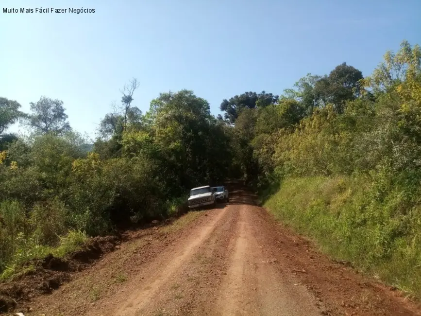 Terreno / Lote à venda em Nova Petropolis - RS - imagem 9 Foto 9 de Terreno / Lote à venda em Nova Petropolis - RS