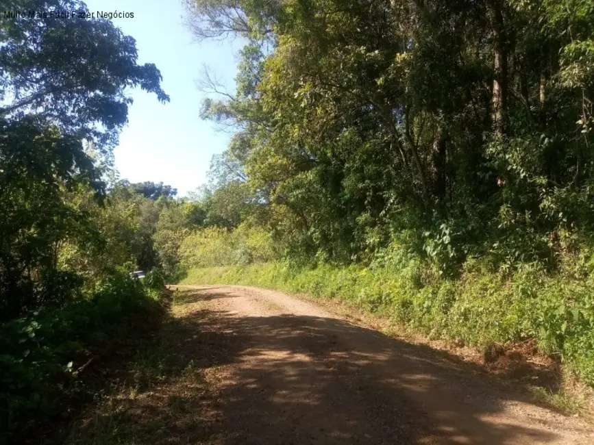 Terreno / Lote à venda em Nova Petropolis - RS - imagem 3 Foto 3 de Terreno / Lote à venda em Nova Petropolis - RS