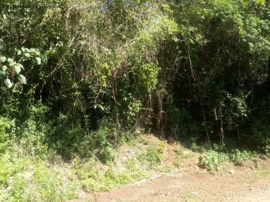 Terreno / Lote à venda em Nova Petropolis - RS - imagem 6 Foto 6 de Terreno / Lote à venda em Nova Petropolis - RS