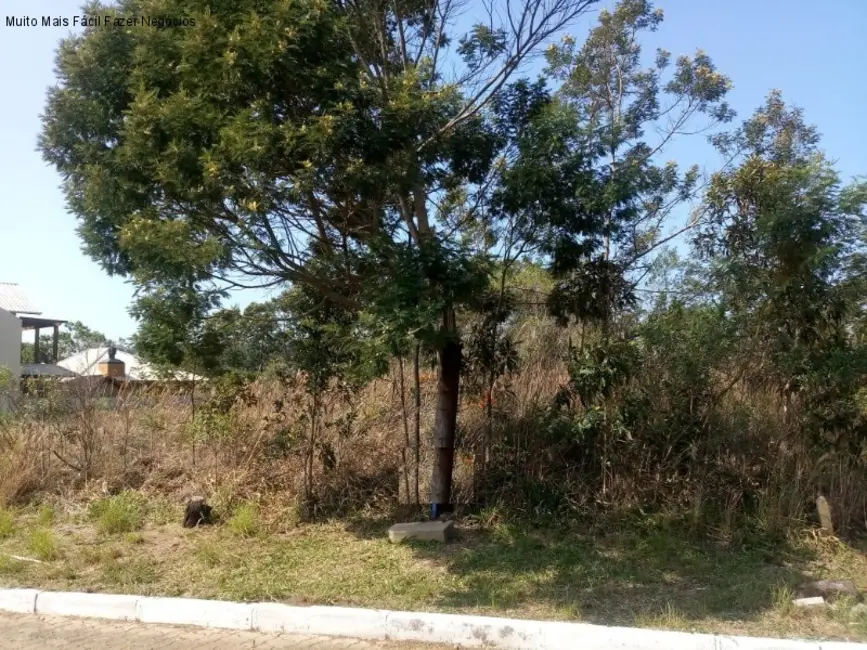 Terreno / Lote à venda, 551m2 em Nova Petropolis - RS - imagem 2 Foto 2 de Terreno / Lote à venda, 551m2 em Nova Petropolis - RS