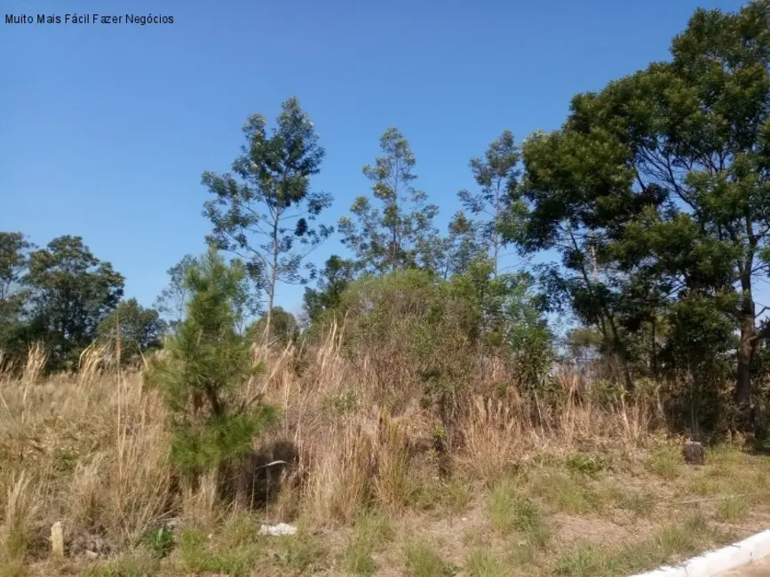 Foto 1 de Terreno / Lote à venda, 551m2 em Nova Petropolis - RS