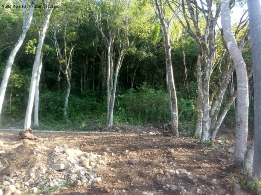 Foto 9 de Terreno / Lote à venda, 2204m2 em Nova Petropolis - RS