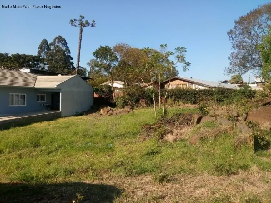 Foto 2 de Terreno / Lote à venda, 806m2 em Nova Petropolis - RS