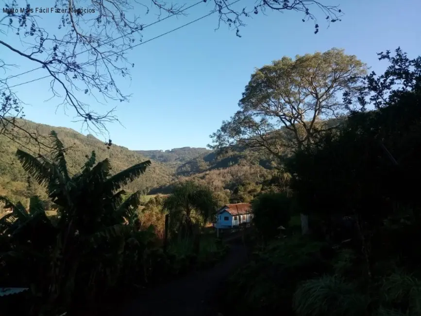 Sítio / Rancho com 2 quartos à venda, 84m2 em Picada Cafe - RS - imagem 5 Foto 5 de Sítio / Rancho com 2 quartos à venda, 84m2 em Picada Cafe - RS