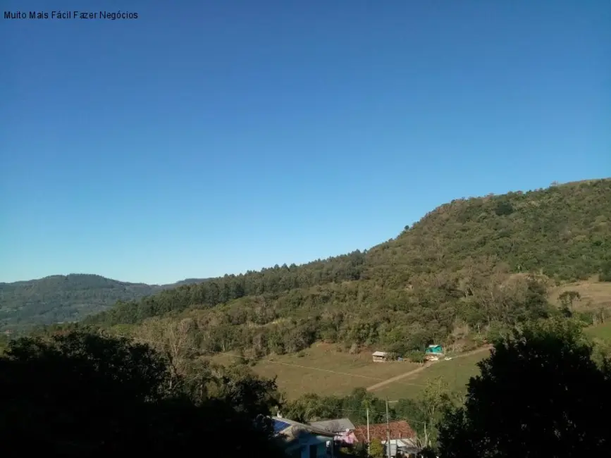 Sítio / Rancho com 2 quartos à venda, 84m2 em Picada Cafe - RS - imagem 4 Foto 4 de Sítio / Rancho com 2 quartos à venda, 84m2 em Picada Cafe - RS