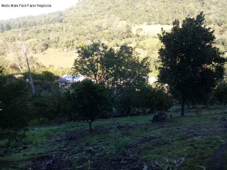 Sítio / Rancho com 2 quartos à venda, 84m2 em Picada Cafe - RS - imagem 8 Foto 8 de Sítio / Rancho com 2 quartos à venda, 84m2 em Picada Cafe - RS