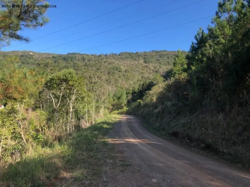 Terreno / Lote à venda em Nova Petropolis - RS - imagem 5 Foto 5 de Terreno / Lote à venda em Nova Petropolis - RS