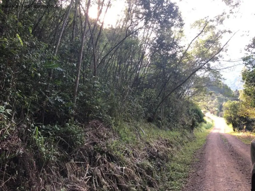Terreno / Lote à venda em Nova Petropolis - RS - imagem 6 Foto 6 de Terreno / Lote à venda em Nova Petropolis - RS