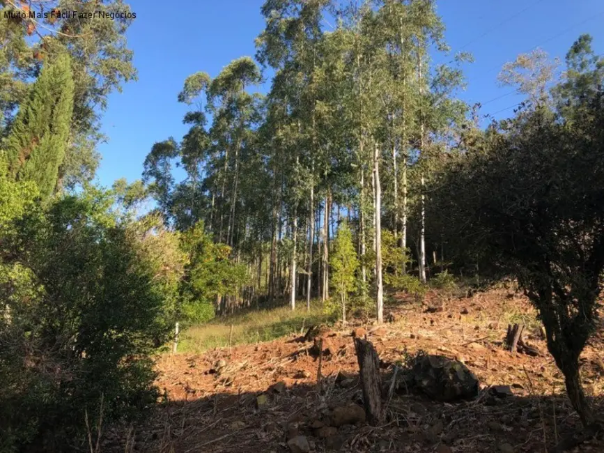 Terreno / Lote à venda em Nova Petropolis - RS - imagem 8 Foto 8 de Terreno / Lote à venda em Nova Petropolis - RS