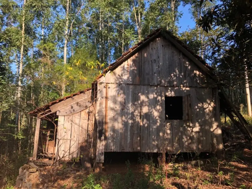 Foto 1 de Terreno / Lote à venda em Nova Petropolis - RS