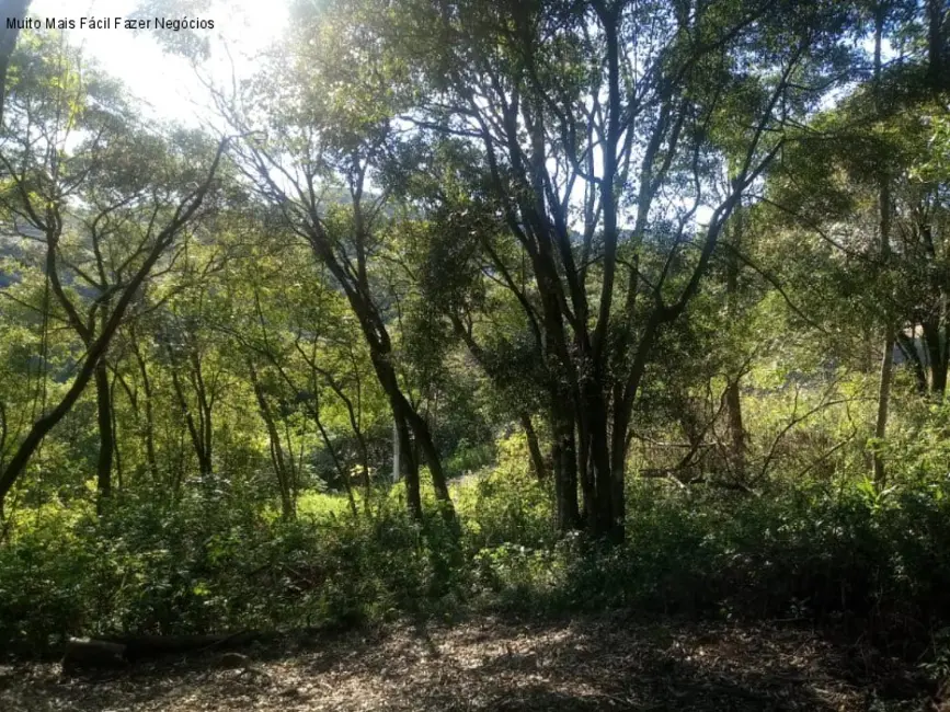Terreno / Lote à venda, 1647m2 em Nova Petropolis - RS - imagem 6 Foto 6 de Terreno / Lote à venda, 1647m2 em Nova Petropolis - RS