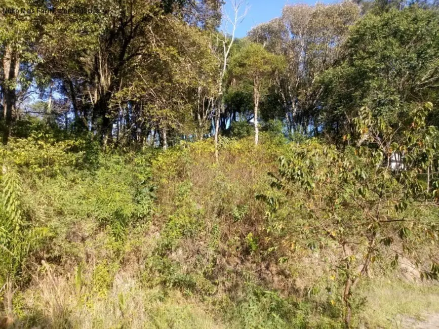 Terreno / Lote à venda, 1647m2 em Nova Petropolis - RS - imagem 7 Foto 7 de Terreno / Lote à venda, 1647m2 em Nova Petropolis - RS