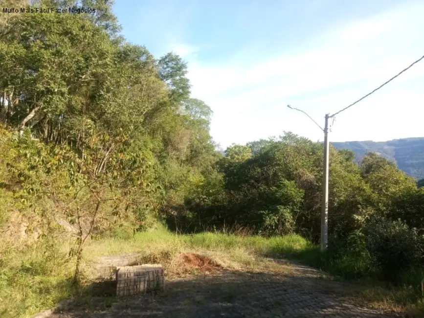 Terreno / Lote à venda, 1647m2 em Nova Petropolis - RS - imagem 9 Foto 9 de Terreno / Lote à venda, 1647m2 em Nova Petropolis - RS