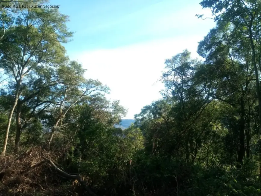 Terreno / Lote à venda, 1647m2 em Nova Petropolis - RS - imagem 5 Foto 5 de Terreno / Lote à venda, 1647m2 em Nova Petropolis - RS