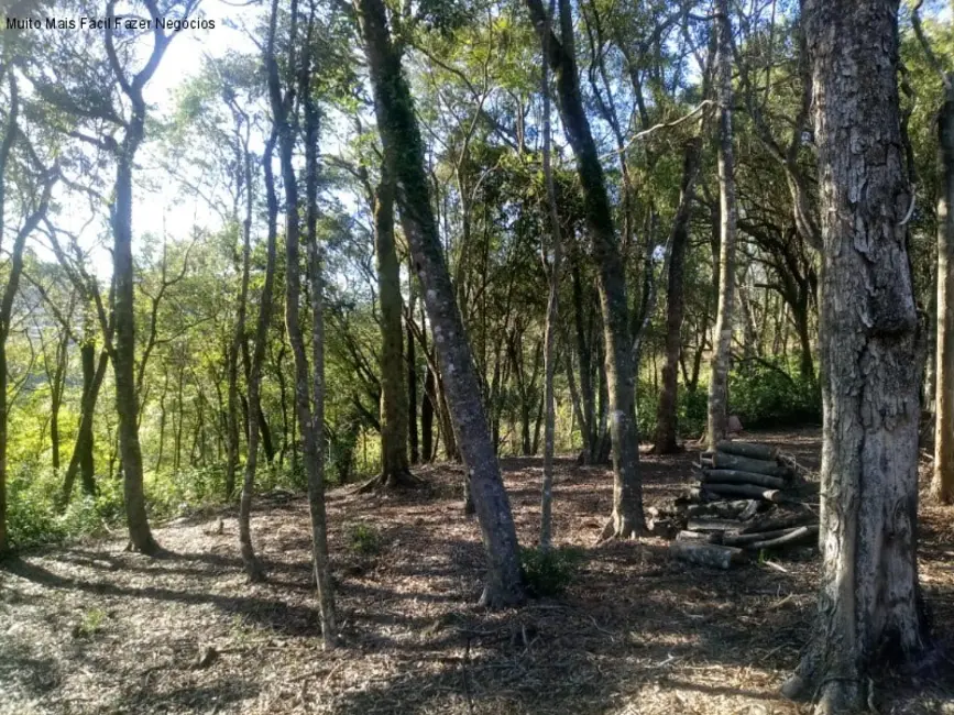 Terreno / Lote à venda, 1647m2 em Nova Petropolis - RS - imagem 3 Foto 3 de Terreno / Lote à venda, 1647m2 em Nova Petropolis - RS