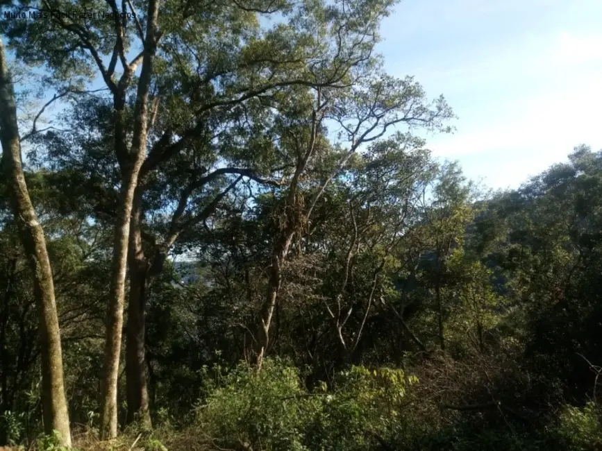 Foto 2 de Terreno / Lote à venda, 1647m2 em Nova Petropolis - RS