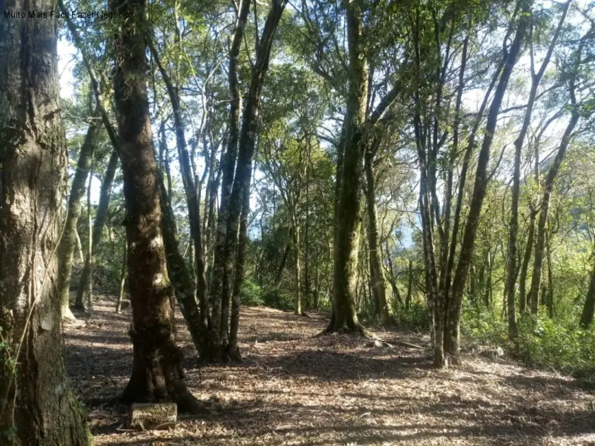 Foto 1 de Terreno / Lote à venda, 1647m2 em Nova Petropolis - RS