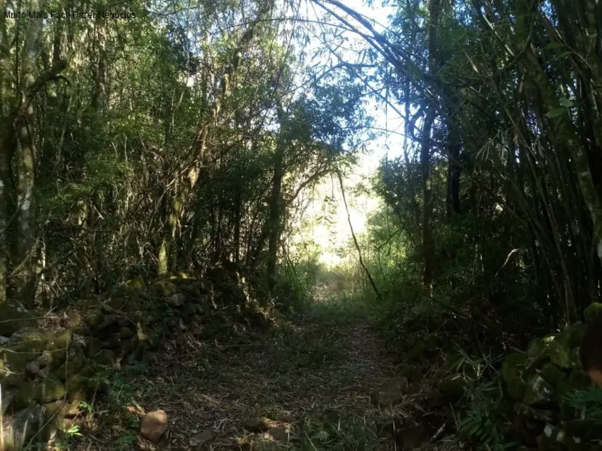 Foto 3 de Terreno / Lote à venda, 45m2 em Gramado - RS