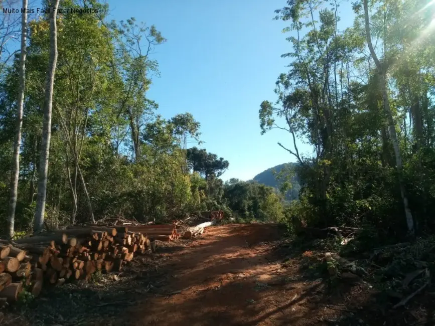 Foto 6 de Terreno / Lote à venda, 45m2 em Gramado - RS