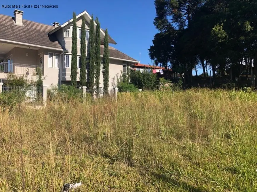 Foto 2 de Terreno / Lote à venda, 450m2 em Nova Petropolis - RS