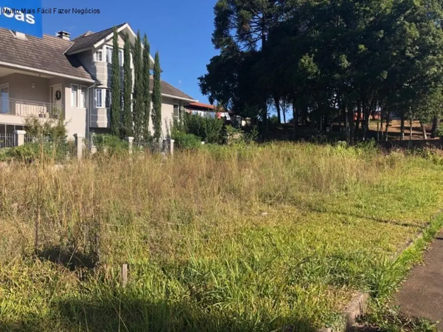 Foto 1 de Terreno / Lote à venda, 450m2 em Nova Petropolis - RS