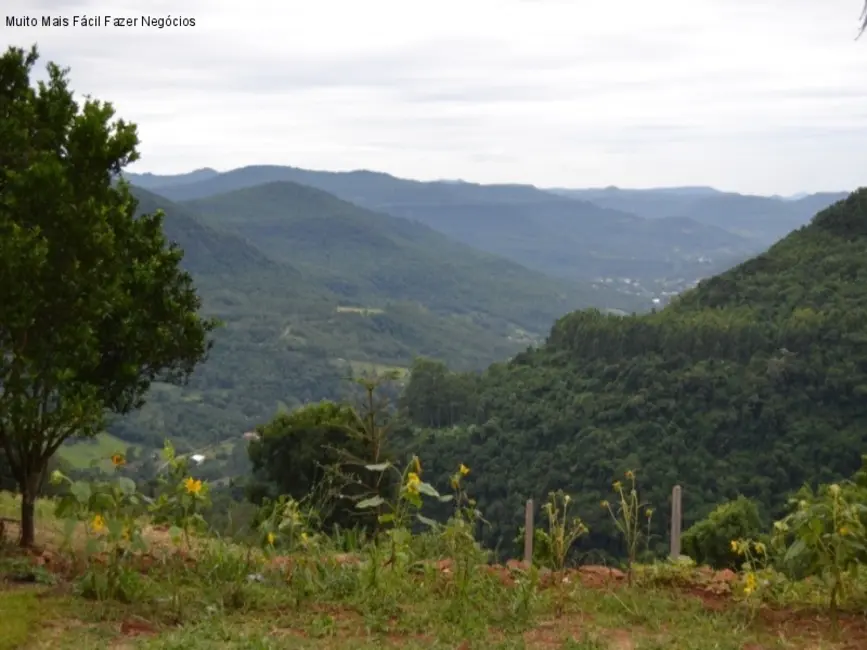 Foto 4 de Sítio / Rancho à venda, 60m2 em Nova Petropolis - RS
