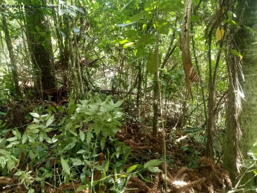 Terreno / Lote à venda, 225000m2 em Nova Petropolis - RS - imagem 6 Foto 6 de Terreno / Lote à venda, 225000m2 em Nova Petropolis - RS