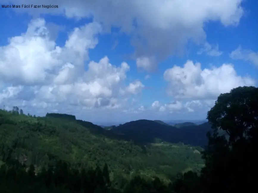 Foto 2 de Terreno / Lote à venda, 225000m2 em Nova Petropolis - RS