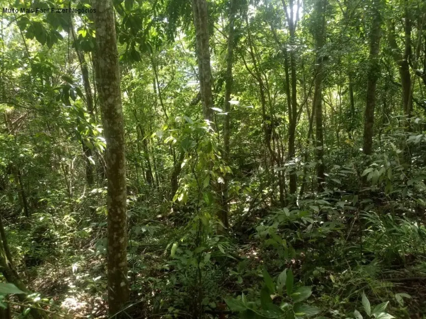 Terreno / Lote à venda, 225000m2 em Nova Petropolis - RS - imagem 7 Foto 7 de Terreno / Lote à venda, 225000m2 em Nova Petropolis - RS