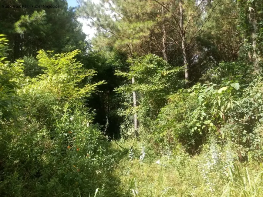 Terreno / Lote à venda, 225000m2 em Nova Petropolis - RS - imagem 9 Foto 9 de Terreno / Lote à venda, 225000m2 em Nova Petropolis - RS