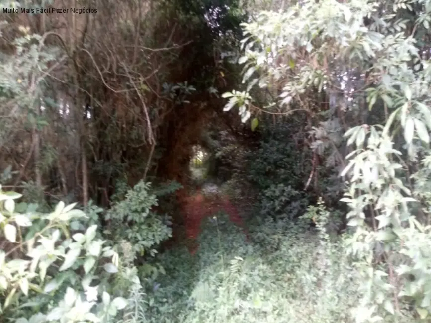 Terreno / Lote à venda, 225000m2 em Nova Petropolis - RS - imagem 3 Foto 3 de Terreno / Lote à venda, 225000m2 em Nova Petropolis - RS