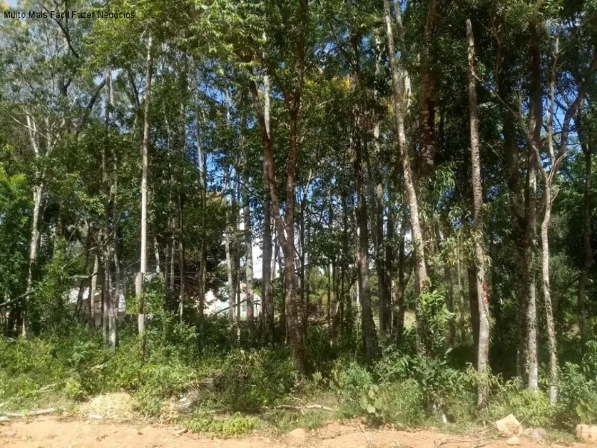 Foto 1 de Terreno / Lote à venda, 410m2 em Nova Petropolis - RS