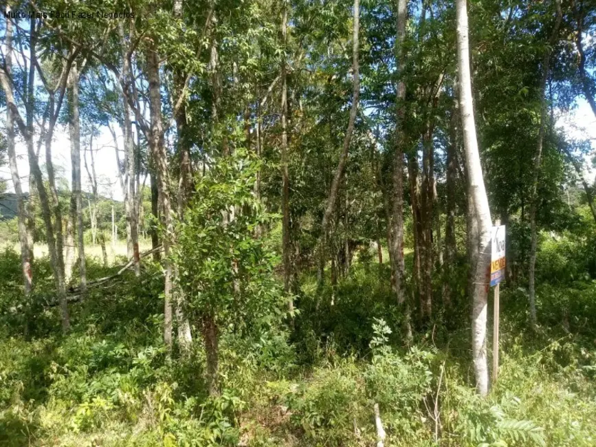 Terreno / Lote à venda, 410m2 em Nova Petropolis - RS - imagem 2 Foto 2 de Terreno / Lote à venda, 410m2 em Nova Petropolis - RS