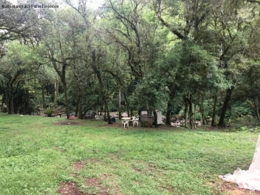Sítio / Rancho com 2 quartos à venda, 80m2 em Nova Petropolis - RS - imagem 5 Foto 5 de Sítio / Rancho com 2 quartos à venda, 80m2 em Nova Petropolis - RS