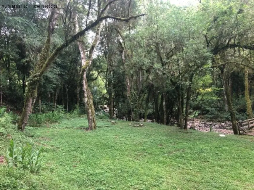 Sítio / Rancho com 2 quartos à venda, 80m2 em Nova Petropolis - RS - imagem 9 Foto 9 de Sítio / Rancho com 2 quartos à venda, 80m2 em Nova Petropolis - RS