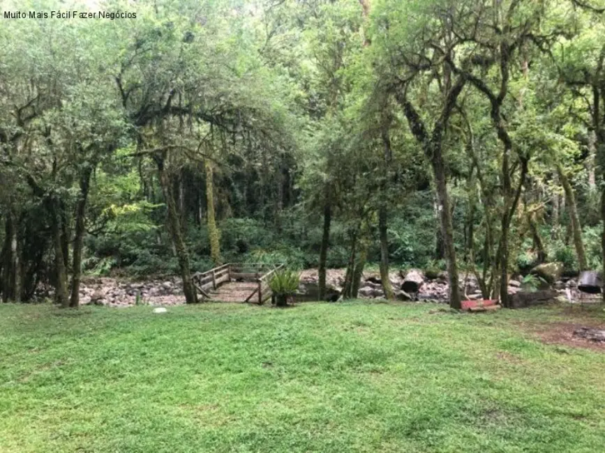 Sítio / Rancho com 2 quartos à venda, 80m2 em Nova Petropolis - RS - imagem 8 Foto 8 de Sítio / Rancho com 2 quartos à venda, 80m2 em Nova Petropolis - RS